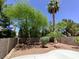 Private backyard oasis with a palm tree and mature landscaping at 326 Lander Dr, Henderson, NV 89074