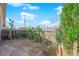 Fenced backyard area featuring desert vegetation including cacti along the fence line at 3936 Savoy Ct, Las Vegas, NV 89115