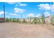 Long desert backyard space with cacti and other desert landscaping along the border at 3936 Savoy Ct, Las Vegas, NV 89115