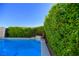 Landscaped backyard pool with a privacy hedge and clear blue skies at 10605 Harvest Green Way, Las Vegas, NV 89135