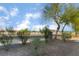 Landscaped backyard featuring a decorative iron fence and scenic trees at 3400 Cabana Dr # 1084, Las Vegas, NV 89122