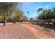 Relaxing view of desert landscaping and mature trees at 4451 Tomer Ln, Las Vegas, NV 89121