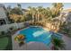 Backyard oasis featuring a private pool surrounded by lush landscaping and mature palm trees at 501 Proud Eagle Ln, Las Vegas, NV 89144