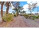 Landscaped walking path in a neighborhood featuring mature trees and lush shrubbery at 840 Sheerwater Ave, Henderson, NV 89052