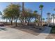 Well-maintained community grounds with lush trees create a serene environment at 924 Angel Star Ln, Las Vegas, NV 89145