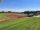 Well-maintained community baseball field with green grass and clear blue skies on a sunny day at 9809 Gerald Ct, Las Vegas, NV 89134