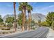 Street view featuring tall palm trees and mountain views in the distance at 9912 Woodhouse Dr, Las Vegas, NV 89134