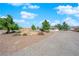 Wide shot of the property featuring low maintenance gravel landscaping, mature trees, and parking areas at 2901 S Dandelion St, Pahrump, NV 89048