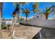 A backyard featuring dirt ground cover, block wall and lush green palm trees at 10026 Mystic Dance St, Las Vegas, NV 89183