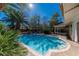 Backyard pool with mature landscaping, including palm trees and a covered patio at 1561 Doran Dr, Las Vegas, NV 89123