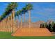 Landscaped Summerlin entrance sign features rows of palm trees and stunning mountain views, welcoming residents and visitors at 10983 Pumpkin Ridge Ave, Las Vegas, NV 89135