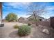 Backyard featuring desert landscaping with privacy walls and mature trees at 5863 Corbin Ave, Las Vegas, NV 89122