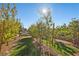 Lush orchard with rows of trees, perfect for gardening and enjoying fresh produce at 4081 Turquoise Falls St, Las Vegas, NV 89129