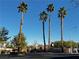 Street view of the 'Tapatio II' community entrance framed by tall palm trees on a sunny day at 379 Rosado Springs St, Henderson, NV 89014