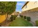 A long, narrow backyard features artificial turf, trimmed hedges, and block wall fencing for privacy and low maintenance at 12279 Lost Treasure Ave, Las Vegas, NV 89138