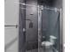 A modern shower with dark tile and a glass door enclosure at 12374 Skyracer Dr, Las Vegas, NV 89138