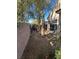 Large backyard with patio and mature trees at 1395 Kapelle St, Henderson, NV 89052