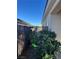 Side yard featuring a decorative fence and mature landscaping at 1395 Kapelle St, Henderson, NV 89052