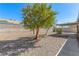 Gravel filled backyard featuring a tree, and walkway alongside a block wall at 3730 Greenwood Dr, Las Vegas, NV 89103