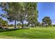 Expansive green space with mature trees, creating a serene and picturesque environment at 5452 Green Palms St, Las Vegas, NV 89130