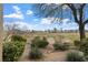 Backyard featuring lush landscaping and scenic views of the community golf course at 704 Peachy Canyon Cir # 101, Las Vegas, NV 89144