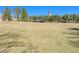 Expansive green lawn perfect for picnics, games, and community events at 77 Chapman Heights St, Las Vegas, NV 89138