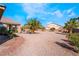 Large, private backyard with desert landscaping and various Palm trees throughout at 7860 Thunder Echo St, Las Vegas, NV 89131