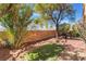 Landscaped backyard featuring synthetic grass area and a mature shade tree at 1059 Via Saint Lucia Pl, Henderson, NV 89011