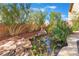 Backyard pond with rock features and lush plants, creating a serene atmosphere at 1059 Via Saint Lucia Pl, Henderson, NV 89011