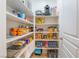 Organized walk-in pantry with white shelving, stocked with an array of snacks and household goods at 1059 Via Saint Lucia Pl, Henderson, NV 89011