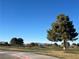 Expansive golf course view with distant mountains and mature evergreens at 4300 S Gressa St, Pahrump, NV 89061