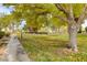 Landscaped common area with a concrete sidewalk at 4648 Comnor Hill Ln, Las Vegas, NV 89121