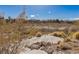 Picturesque backyard view showcasing the property's expansive lot and the natural desert landscape at 9631 Orient Express Ct, Las Vegas, NV 89145