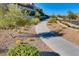 Beautifully landscaped sidewalk with desert plants and rock accents at 1045 Chestnut Chase St, Las Vegas, NV 89138