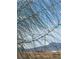 Desert landscape featuring trees, bushes, mountains, and a vibrant sky at 1640 E Kearney St, Pahrump, NV 89048