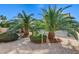 This backyard is landscaped with mature palm trees, shrubs, and gravel at 3008 Hot Cider Ave, North Las Vegas, NV 89031
