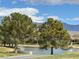 Scenic pond surrounded by green lawns and mature trees, perfect for a relaxing stroll or enjoying nature's beauty at 4695 E Lucera Ct, Pahrump, NV 89061