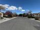 Quiet neighborhood street featuring well-maintained homes with mature landscaping, creating a peaceful living environment at 4695 E Lucera Ct, Pahrump, NV 89061