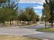 Neighborhood street featuring tree-lined sidewalks and well-maintained landscaping, creating a welcoming and pedestrian-friendly environment at 4695 E Lucera Ct, Pahrump, NV 89061