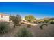 Open community desert area with scattered bushes and lush green trees at 4847 Double Down Dr # 101, Las Vegas, NV 89122
