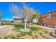 Common area featuring desert landscaping, a decorative tree, and lawn in a well-maintained community at 10431 Kitty Joyce Ave, Las Vegas, NV 89129