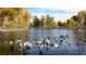 Scenic pond teeming with ducks and geese, surrounded by mature trees in a tranquil community setting at 8250 N Grand Canyon Dr # 2102, Las Vegas, NV 89166