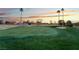 Scenic golf course image with putting green, bunkers, palm trees, and sunset at 8701 Robinson Ridge Dr, Las Vegas, NV 89117