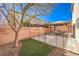 This backyard has a pergola-covered patio, a pet-friendly fenced area, and a well-maintained landscape at 10421 Mount Washington Ave, Las Vegas, NV 89166