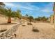 Picturesque backyard showcasing desert landscaping with rocks, various trees, and low-water plants at 1616 Langston Hughes St, Henderson, NV 89052