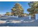 Gated property entrance with a large tree and mature landscaping under a clear blue sky at 6925 Donald Nelson Ave, Las Vegas, NV 89131