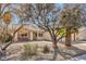 Single-story home with neutral stucco, tile roof, desert landscaping, and mature trees at 427 Mindoro Ave, North Las Vegas, NV 89031