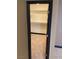 Walk-in closet with ample shelving for storage and organization at 8777 W Maule Ave # 2167, Las Vegas, NV 89148