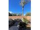 Backyard featuring desert landscaping, rock features, and palm trees at 10134 Reflection Brook Ave, Las Vegas, NV 89148