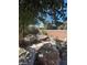 Backyard featuring desert landscaping, mature trees, and rock features at 10134 Reflection Brook Ave, Las Vegas, NV 89148